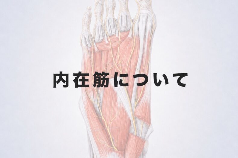 内在筋について