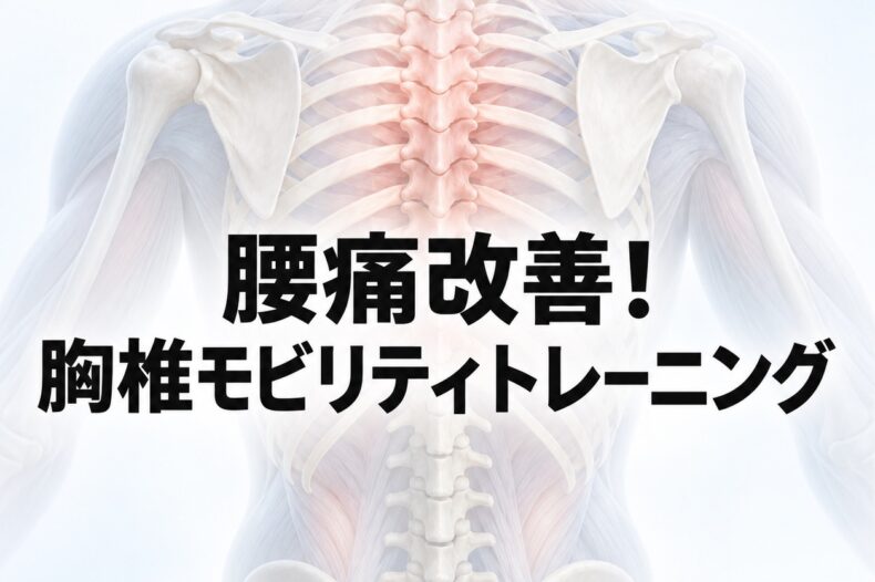腰痛改善！胸椎モビリティトレーニング